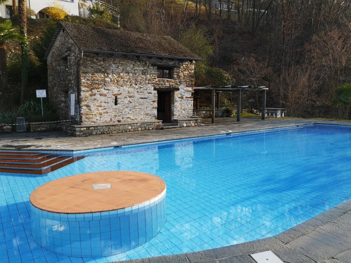 1 Zimmer Apartment Mit Seesicht Und Pool Gambarogno Экстерьер фото
