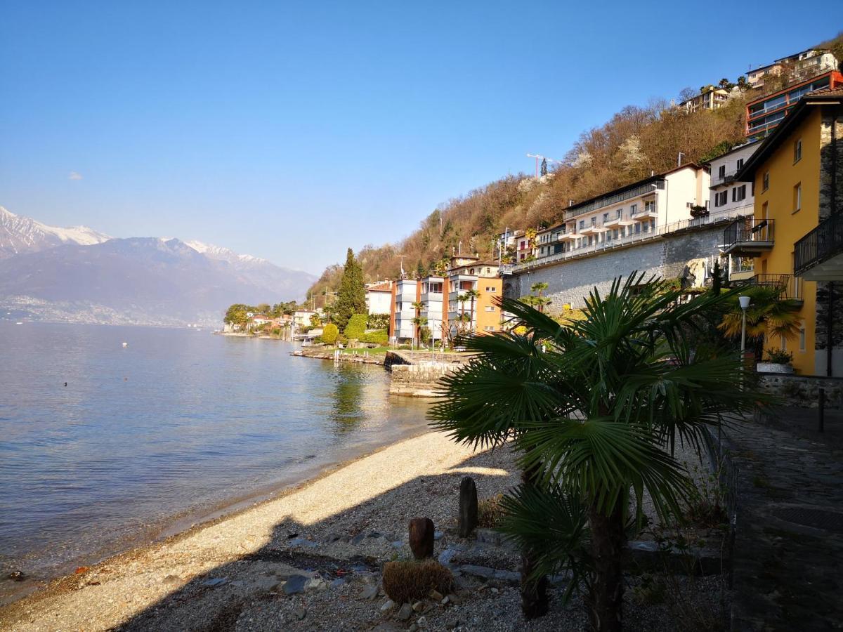 1 Zimmer Apartment Mit Seesicht Und Pool Gambarogno Экстерьер фото