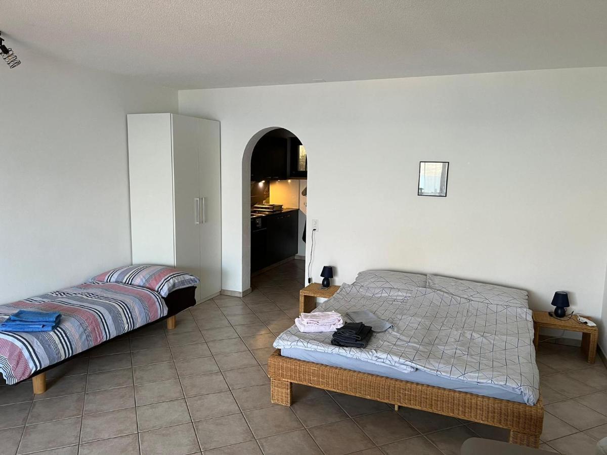 1 Zimmer Apartment Mit Seesicht Und Pool Gambarogno Экстерьер фото